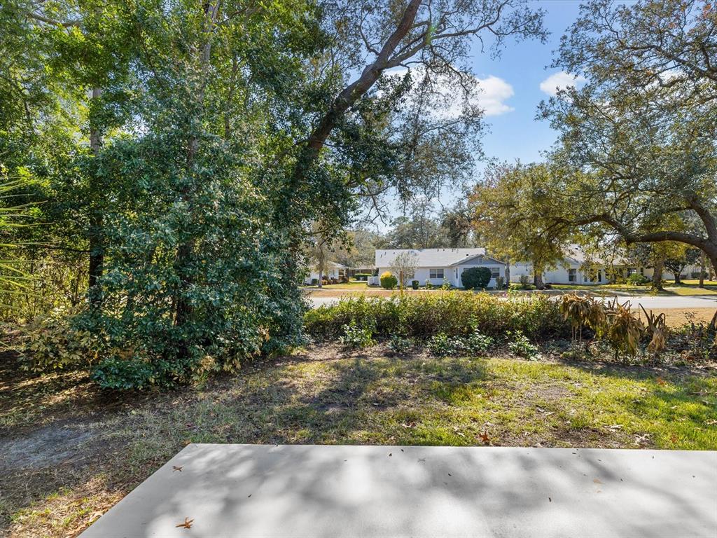 6580 Brambleleaf Drive Spring Hill, FL 34606 - Photo 25 of 62