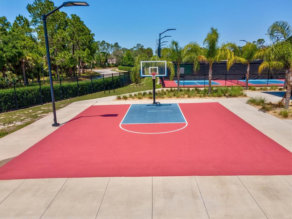 6580 Brambleleaf Drive Spring Hill, FL 34606 - Photo 43 of 62