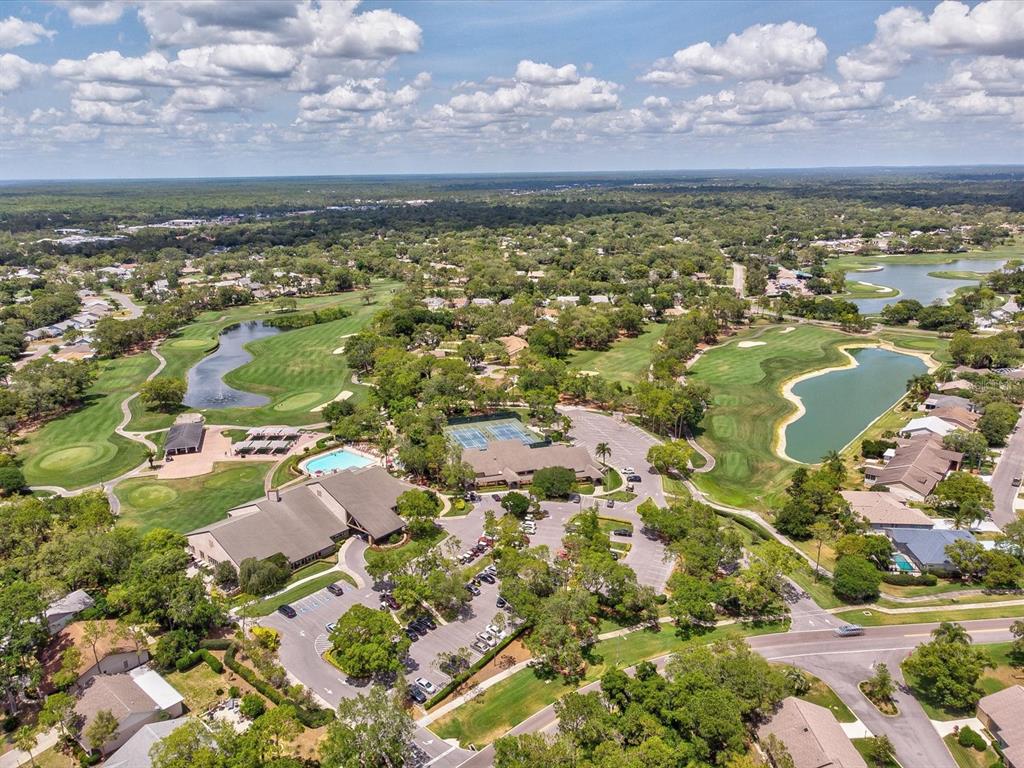 6580 Brambleleaf Drive Spring Hill, FL 34606 - Photo 47 of 62