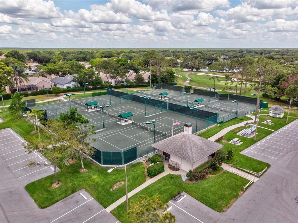 6580 Brambleleaf Drive Spring Hill, FL 34606 - Photo 48 of 62