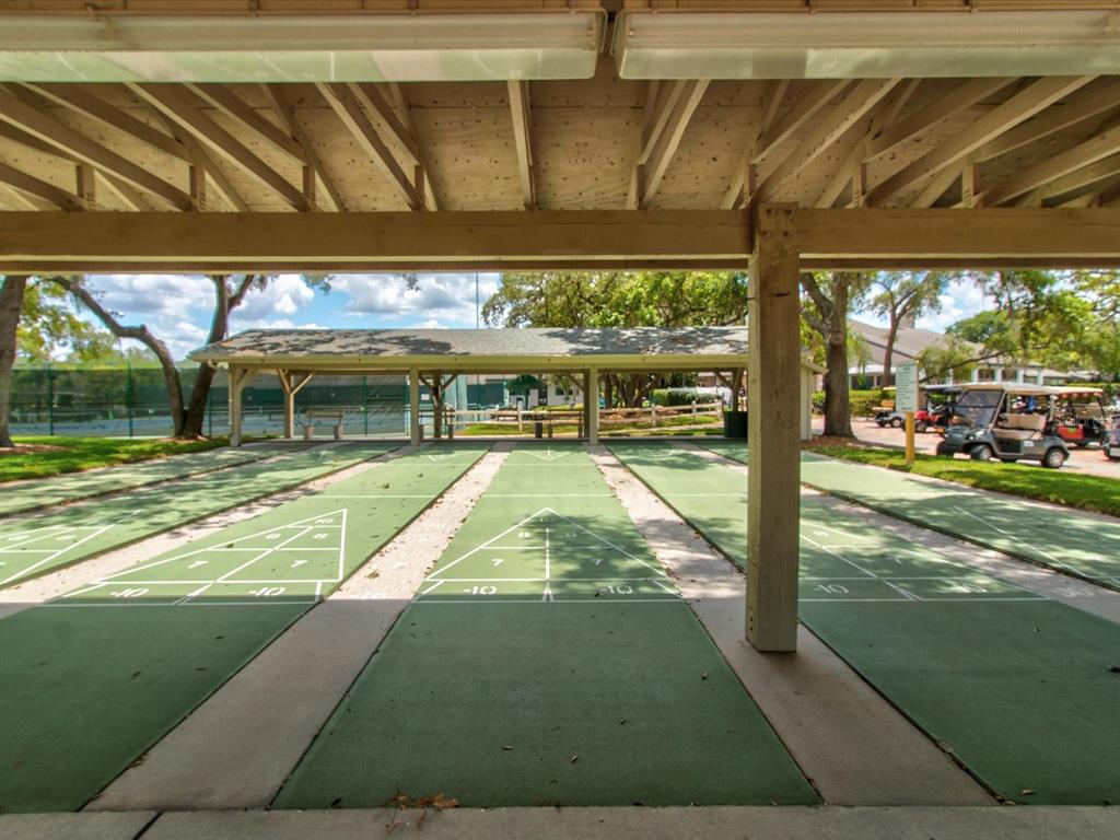 6580 Brambleleaf Drive Spring Hill, FL 34606 - Photo 52 of 62