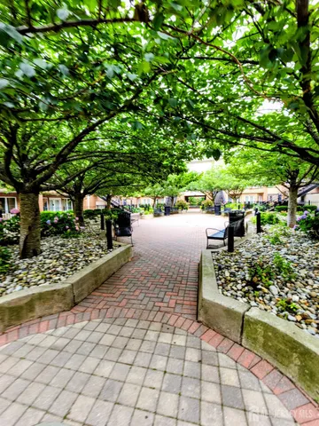 a view of a pathway with a bench
