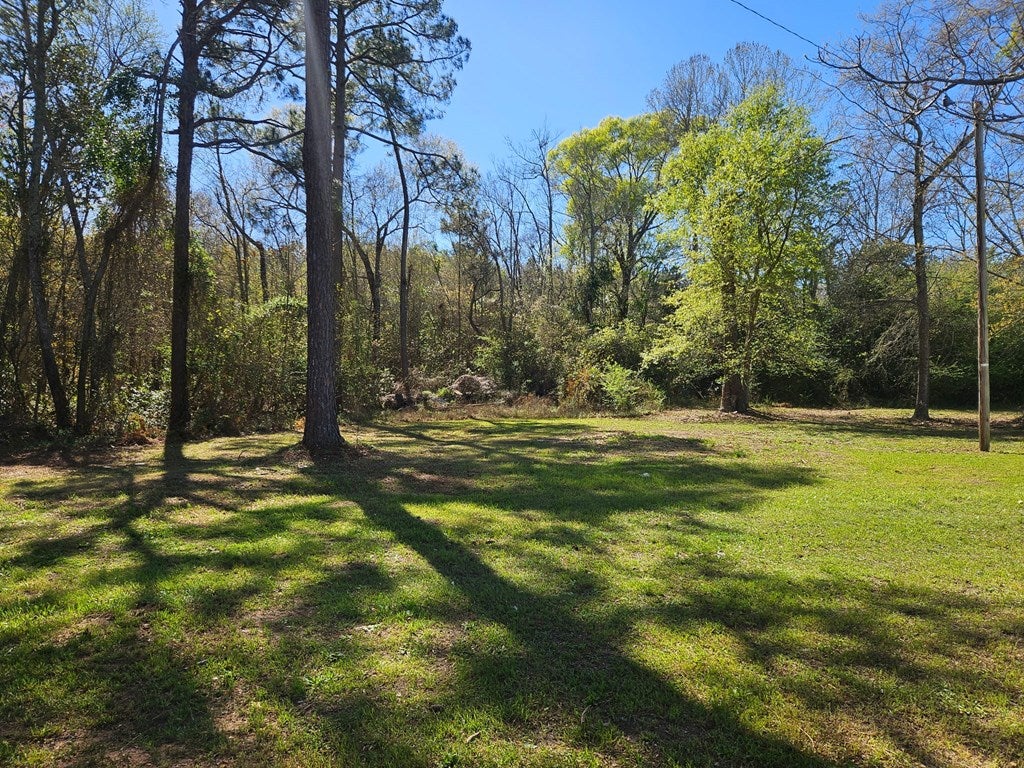 216 Cleveland Road Rebecca, GA 31783 - Photo 12 of 14 Gallery Image 12