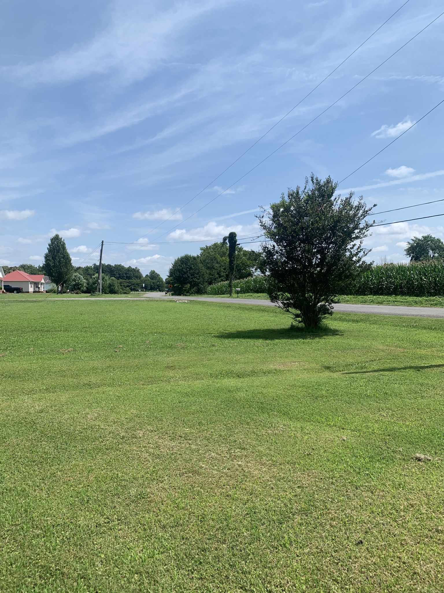 11 Myrick Road Flintville, TN 37335 - Photo 12 of 19 a view of a grassy field
