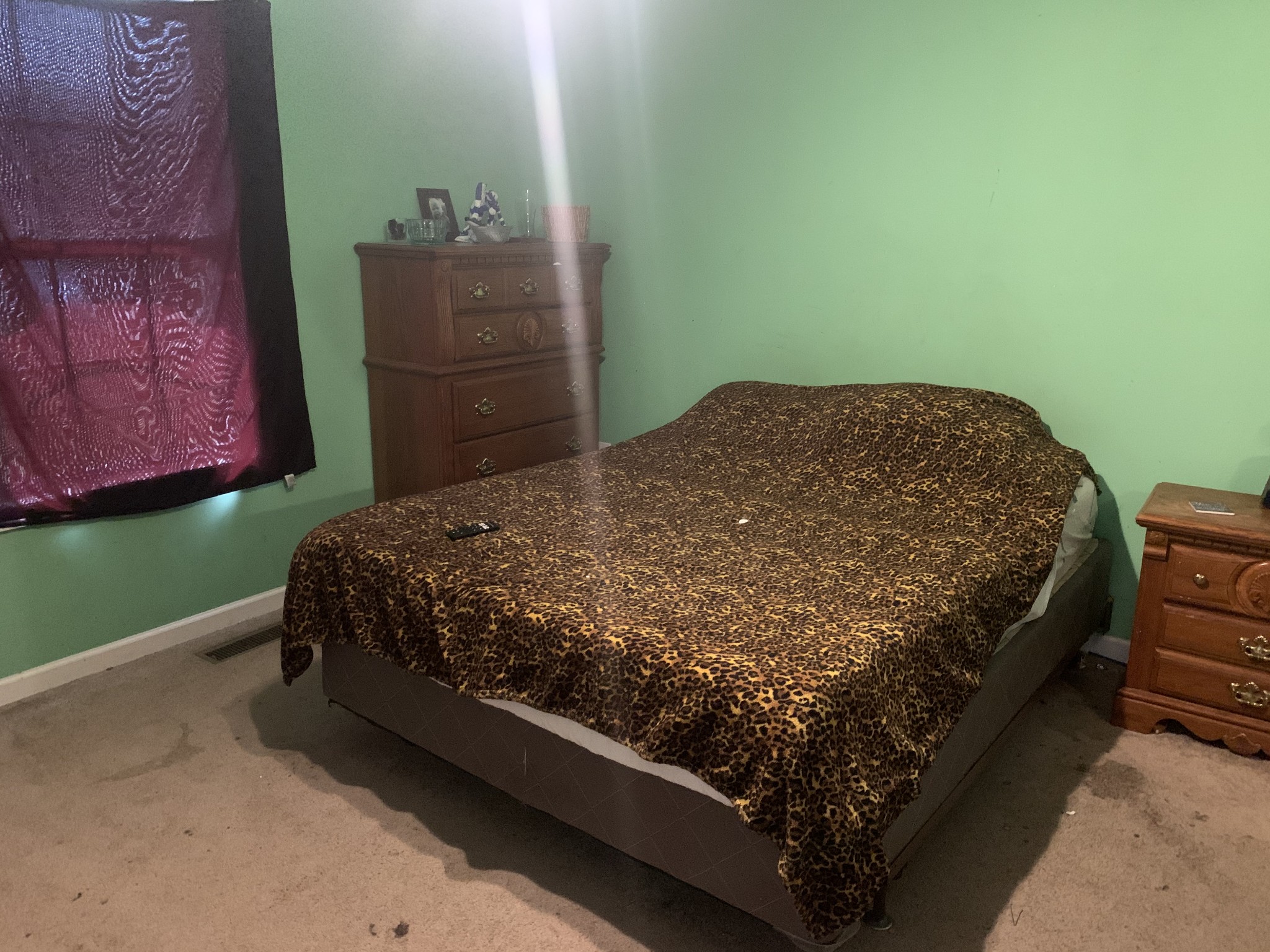 11 Myrick Road Flintville, TN 37335 - Photo 7 of 19 a bed sitting in a bedroom next to a wall