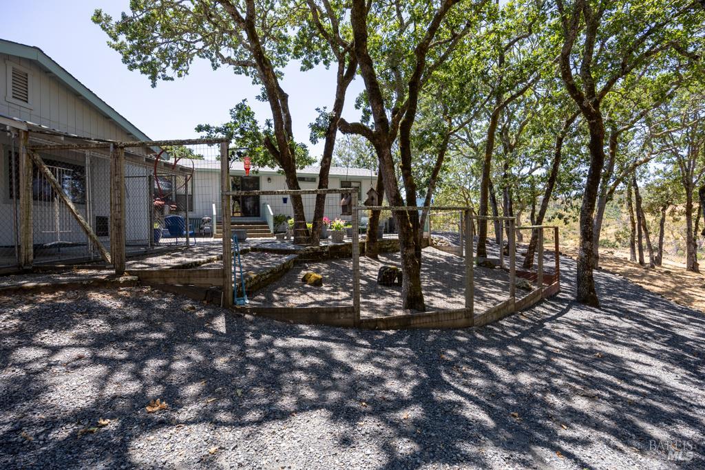 6707 Badger Creek Road Santa Rosa, CA 95409 - Photo 4 of 53 a view of a park with large trees