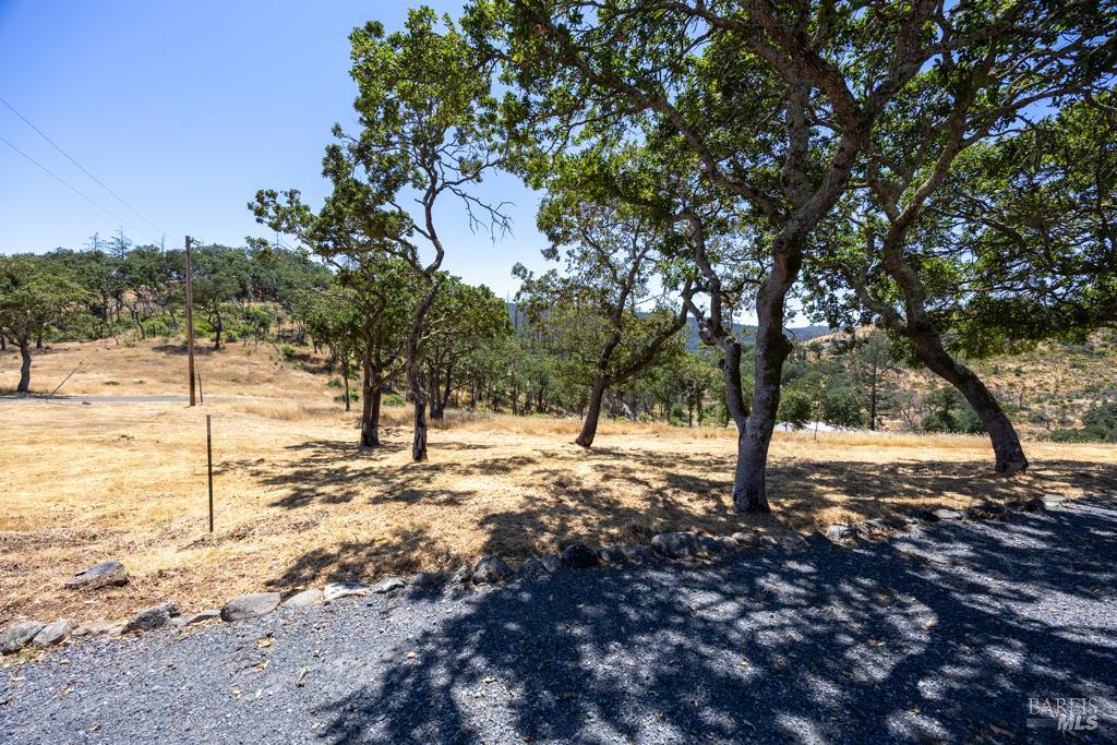 6707 Badger Creek Road Santa Rosa, CA 95409 - Photo 44 of 53 a view of a yard with trees