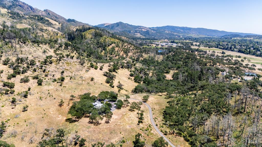 6707 Badger Creek Road Santa Rosa, CA 95409 - Photo 49 of 53 a view of a forest with mountains in the background