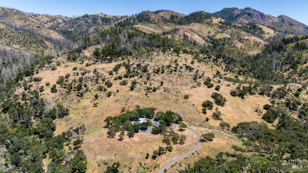6707 Badger Creek Road Santa Rosa, CA 95409 - Photo 50 of 53 a view of a forest with a mountain in the background