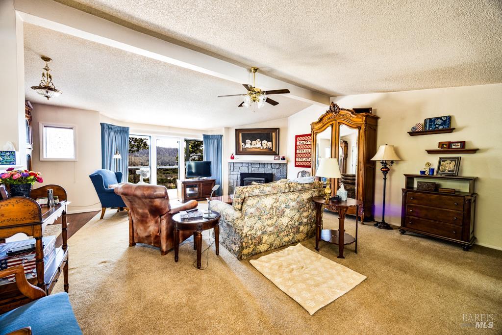 6707 Badger Creek Road Santa Rosa, CA 95409 - Photo 10 of 53 a living room with furniture and a fireplace
