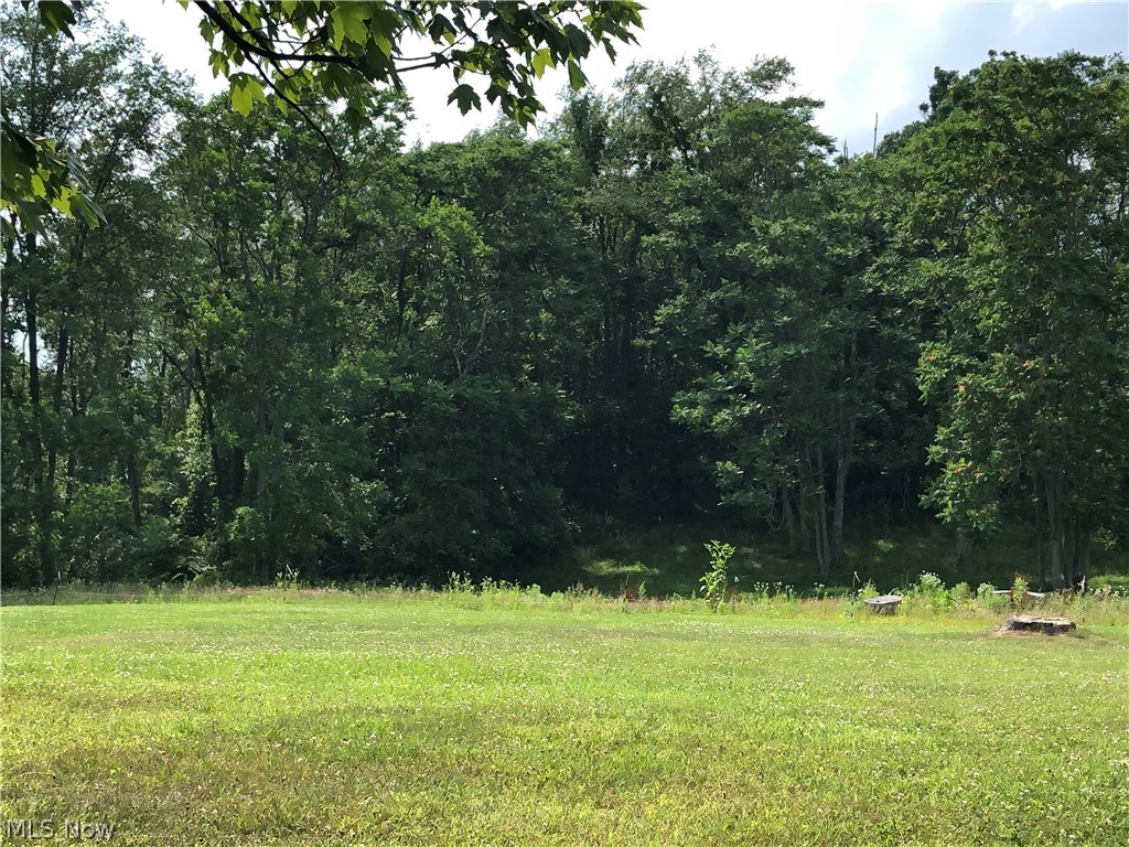 3615 Post Boy Road Southwest Newcomerstown, OH 43832 - Photo 6 of 13 Gallery Image 6