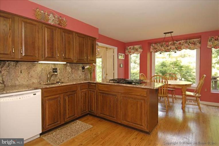 10295 Dunn Meadow Road Vienna, VA 22182 - Photo 17 of 30 Kitchen #2