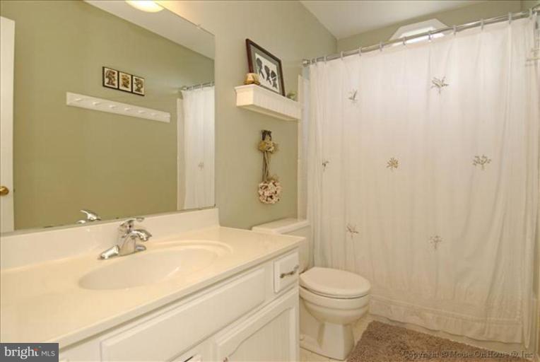 10295 Dunn Meadow Road Vienna, VA 22182 - Photo 20 of 30 Bath #2