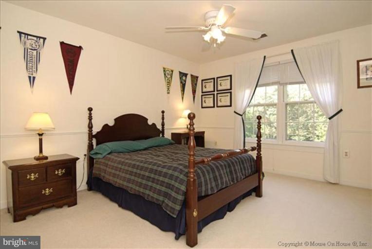 10295 Dunn Meadow Road Vienna, VA 22182 - Photo 22 of 30 Bedroom #3