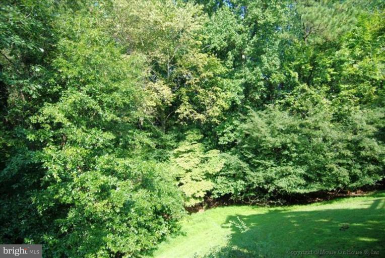 10295 Dunn Meadow Road Vienna, VA 22182 - Photo 7 of 30 Wooded View / Acreage