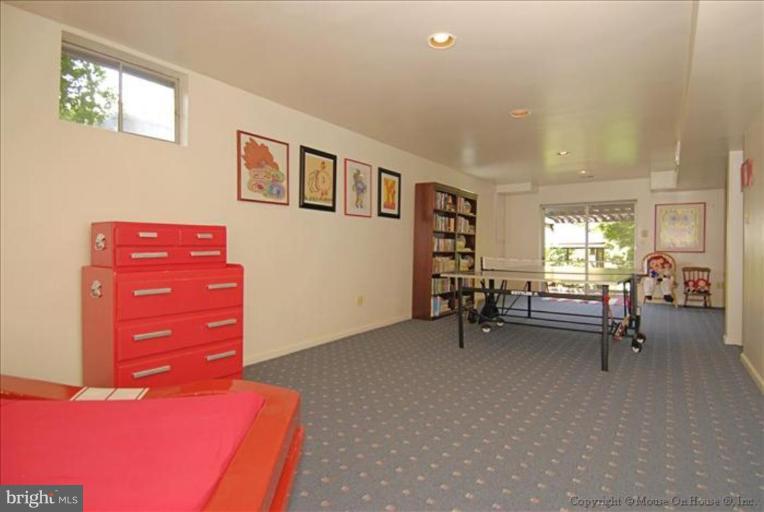 10295 Dunn Meadow Road Vienna, VA 22182 - Photo 10 of 30 Recreation Room #2
