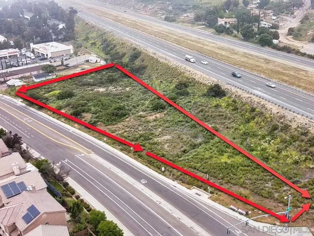 a view of a garden from a window