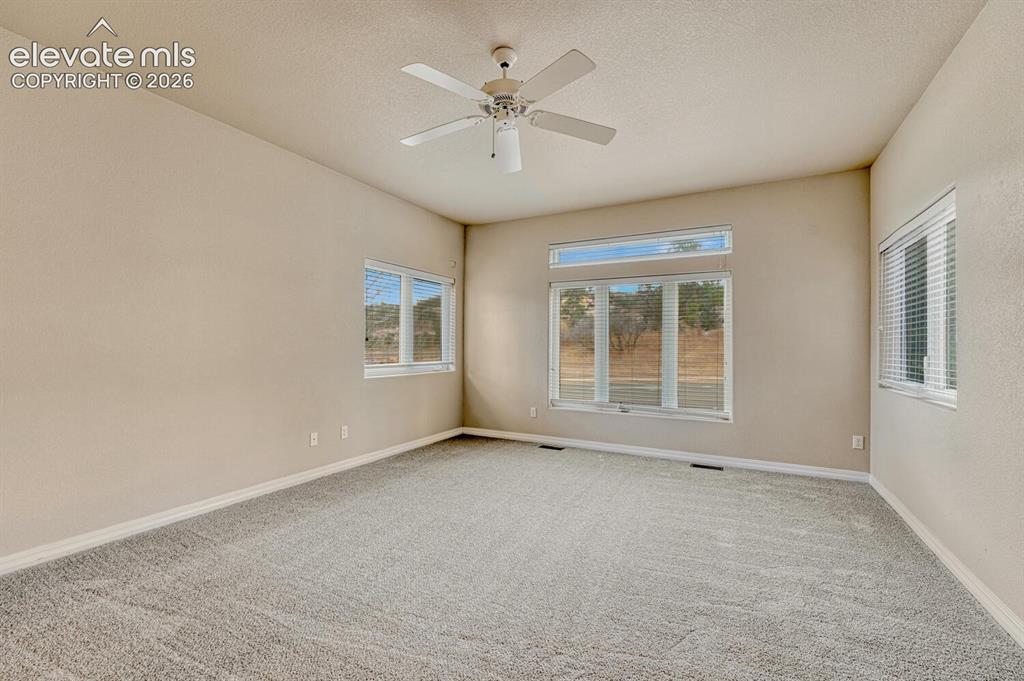 1665 Doe Run Point Colorado Springs, CO 80919 - Photo 17 of 48