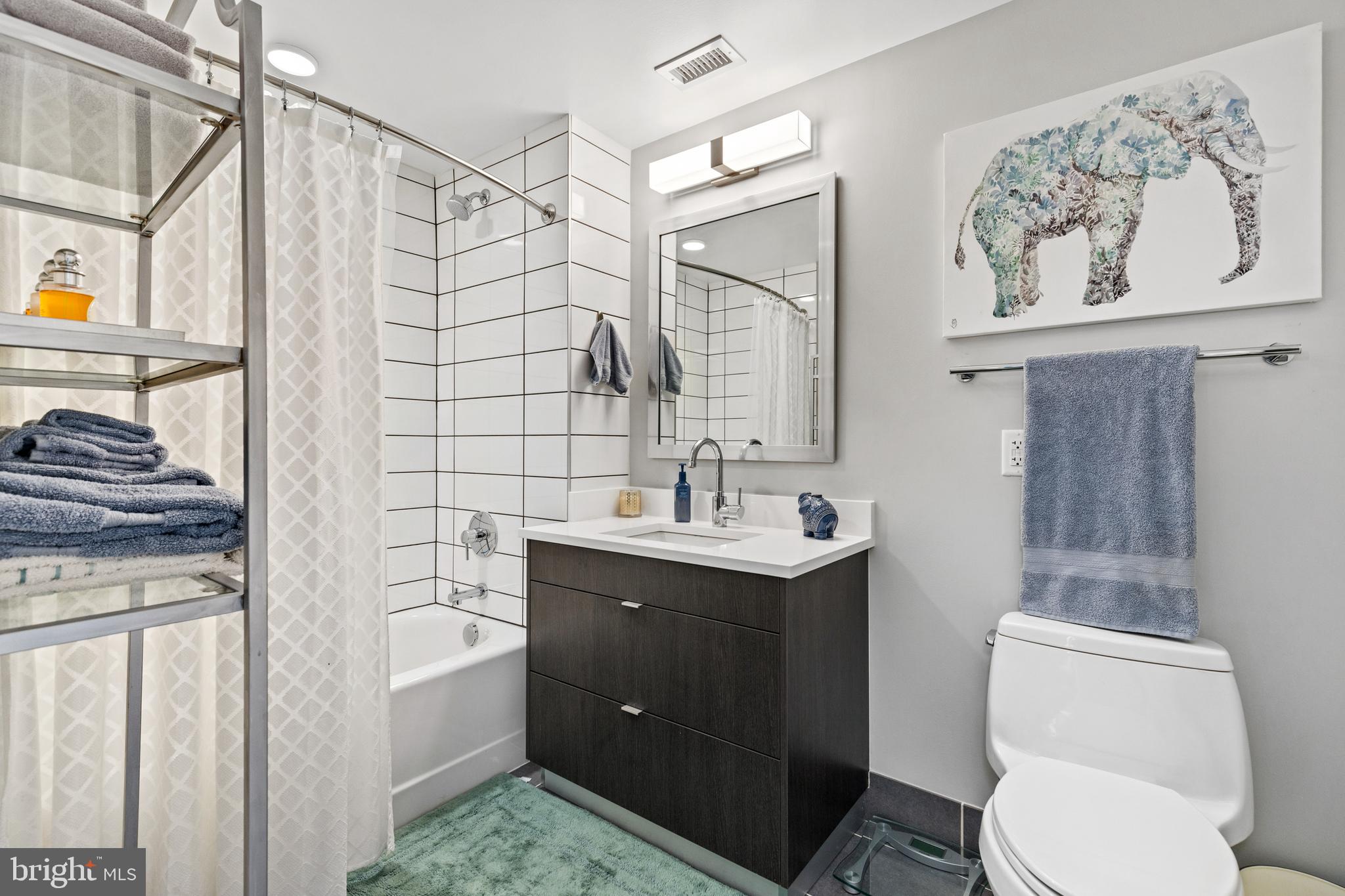 1300 4th Street Southeast, Unit 404 Washington, DC 20003 - Photo 22 of 51 a bathroom with a sink toilet and shower