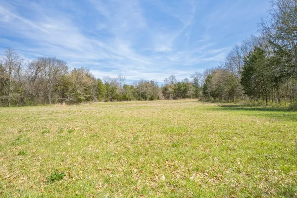 a view of yard with trees