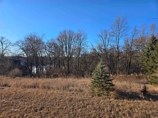 a view of a field with a tree in the background