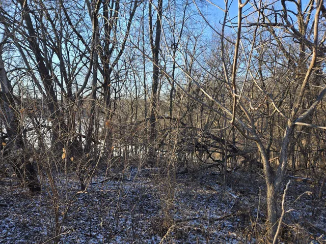 $15,750 | 3-a24 General Grant Drive, Apple River, IL 61001