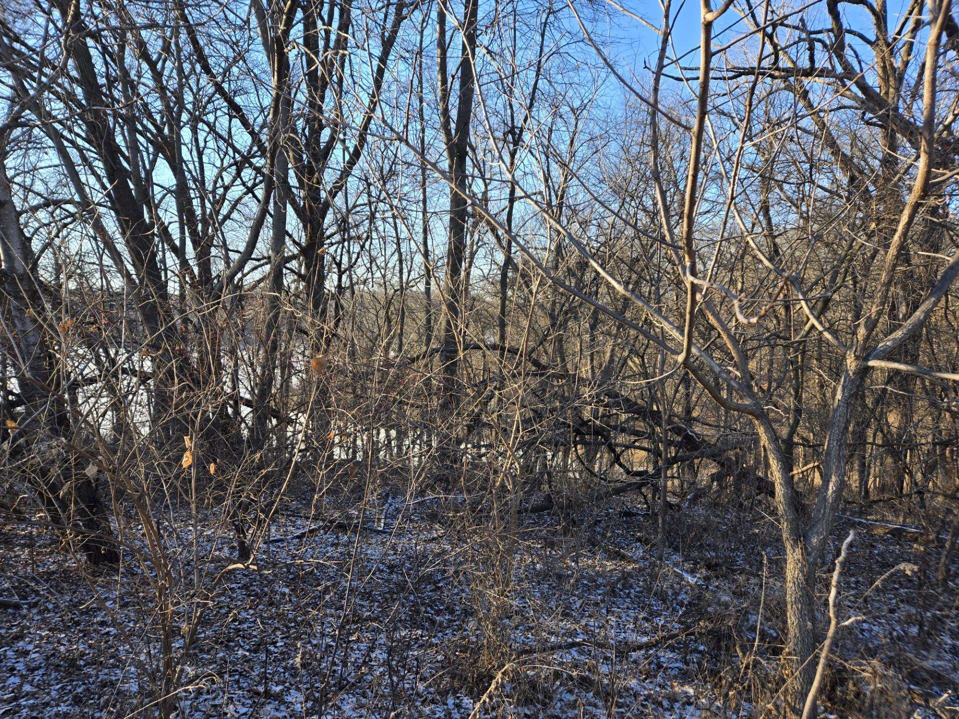 3-a24 General Grant Drive Apple River, IL 61001 - Photo 5 of 5 a view of a yard