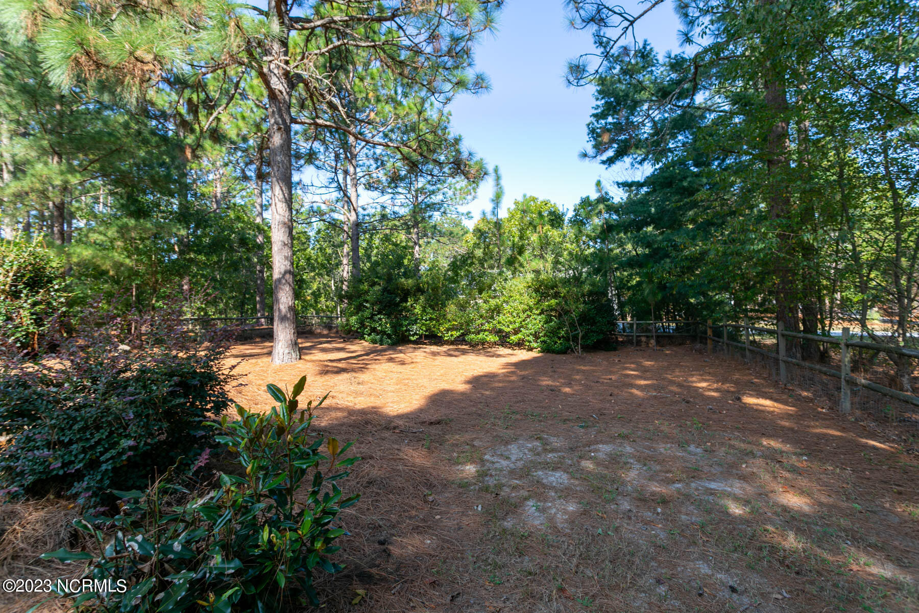 102 Sandy Ridge Road West End, NC 27376 - Photo 21 of 24 backyard