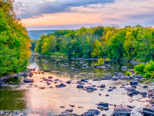 a view of backyard with large trees