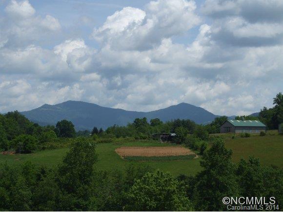 104 Moore Road Canton, NC 28716 - Photo 9 of 14