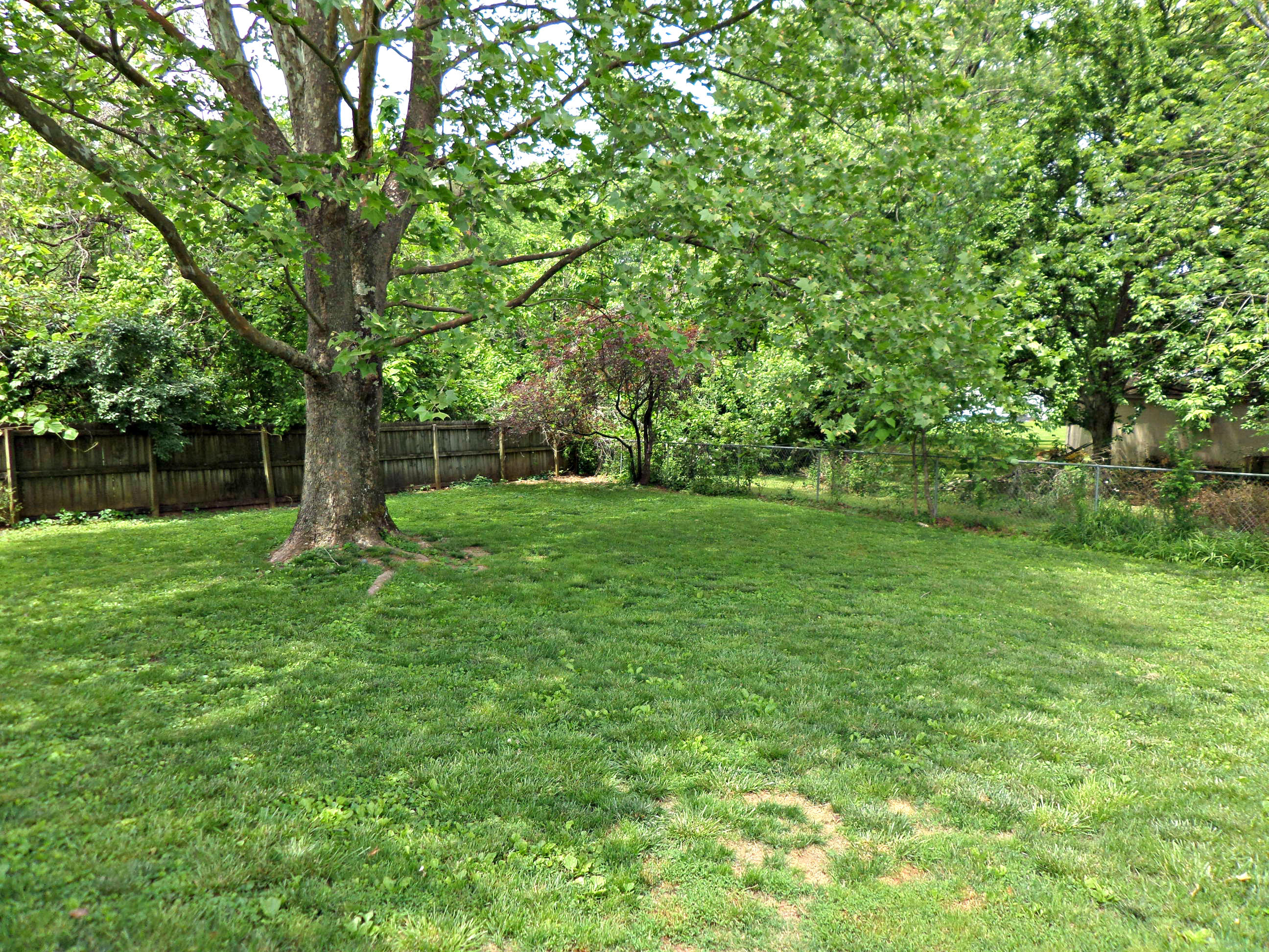 102 West Lincoln Road Oak Ridge, TN 37830 - Photo 16 of 23 Backyard