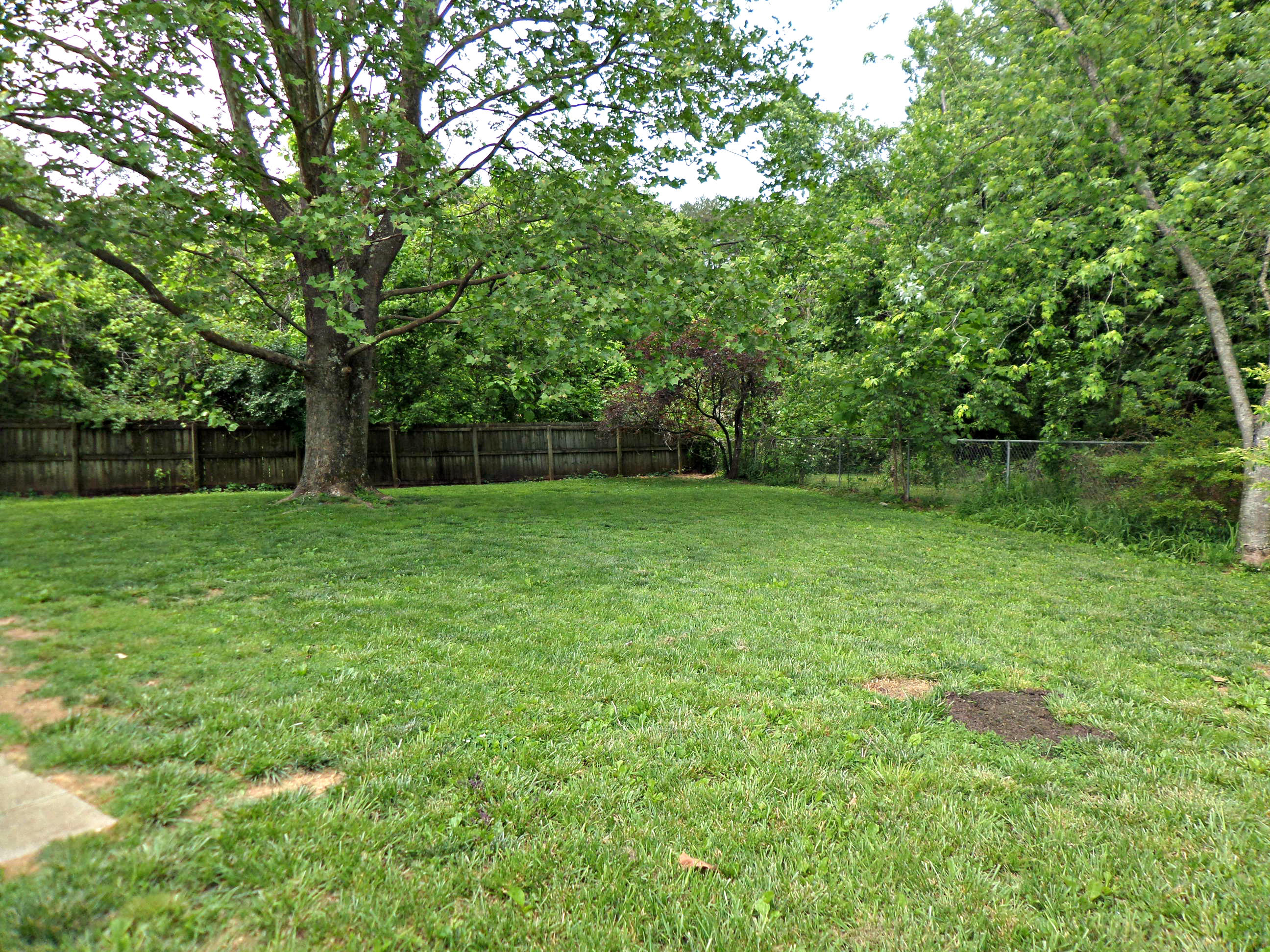 102 West Lincoln Road Oak Ridge, TN 37830 - Photo 17 of 23 Backyard2