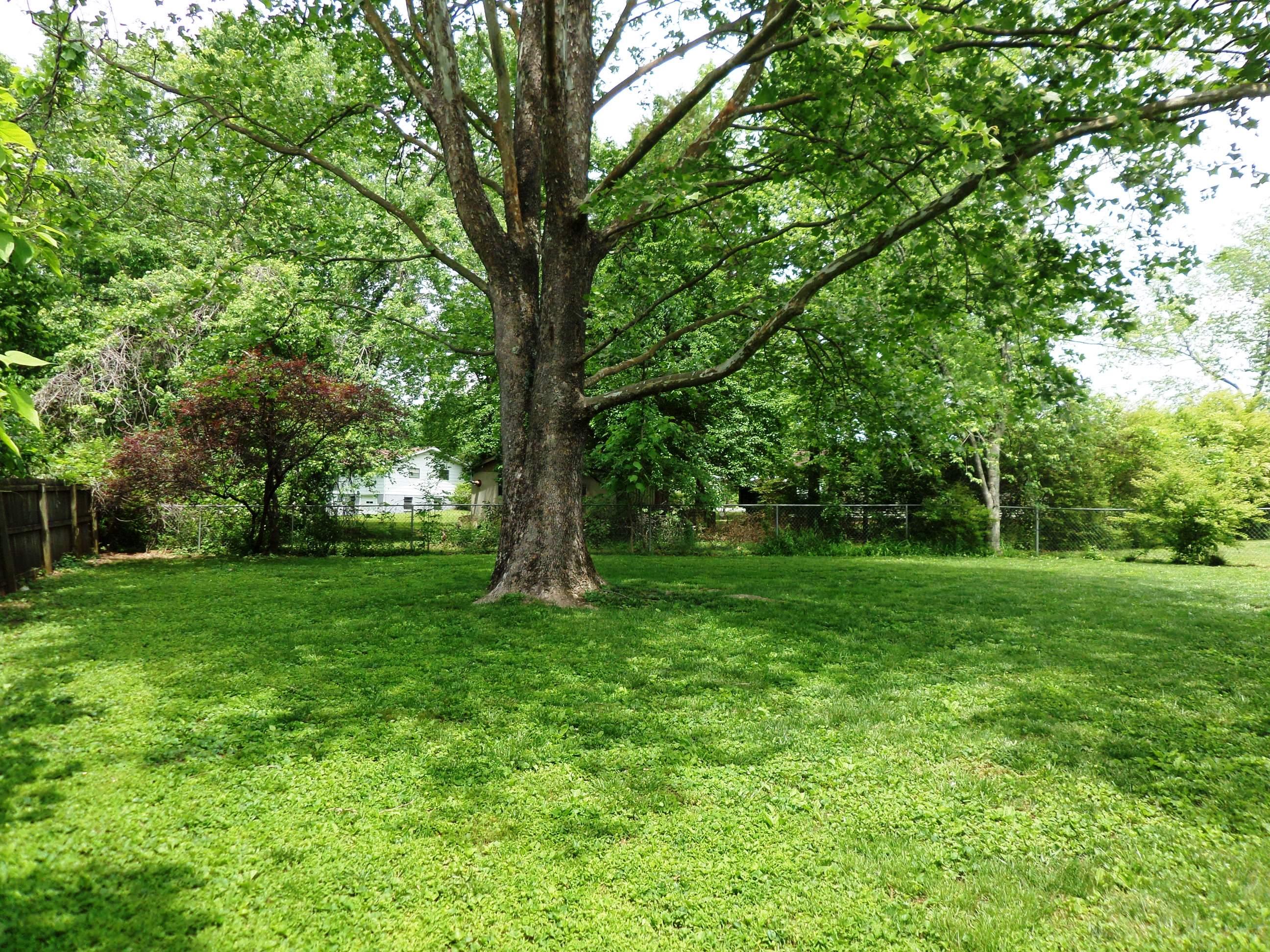 102 West Lincoln Road Oak Ridge, TN 37830 - Photo 18 of 23 Backyard3