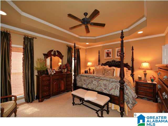 193 River Birch Road Chelsea, AL 35043 - Photo 14 of 21