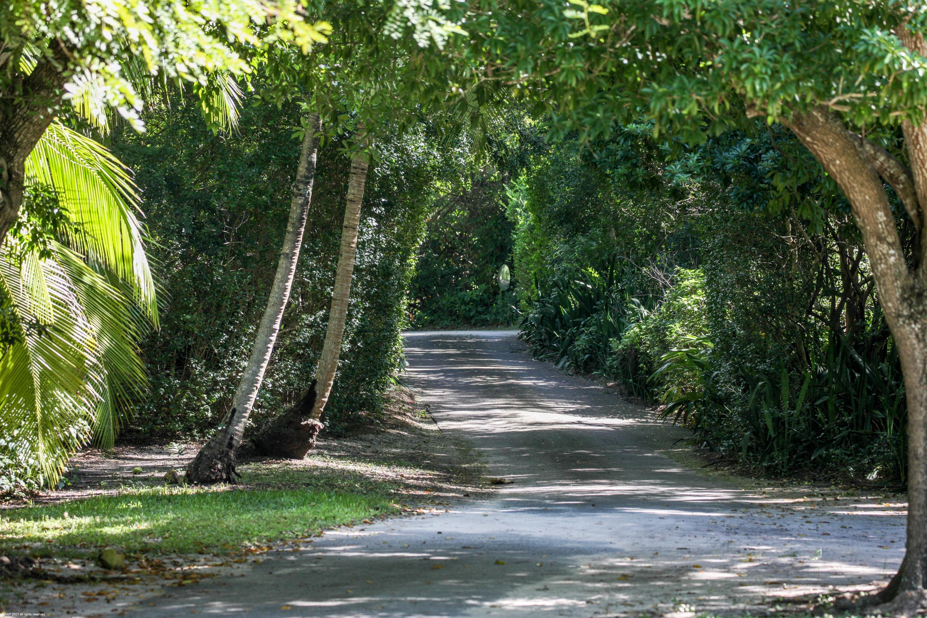 216 South Beach Road Hobe Sound, FL 33455 - Photo 18 of 20 216 South Beach Rd 008