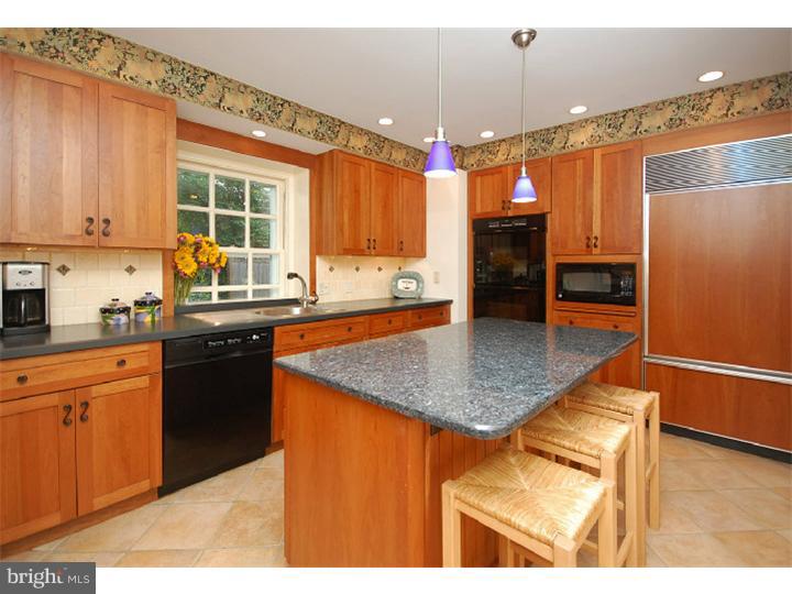 265 Forrest Road Merion Station, PA 19066 - Photo 7 of 20 Kitchen