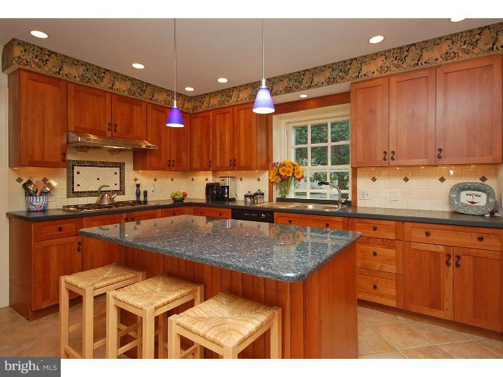 265 Forrest Road Merion Station, PA 19066 - Photo 8 of 20 Kitchen