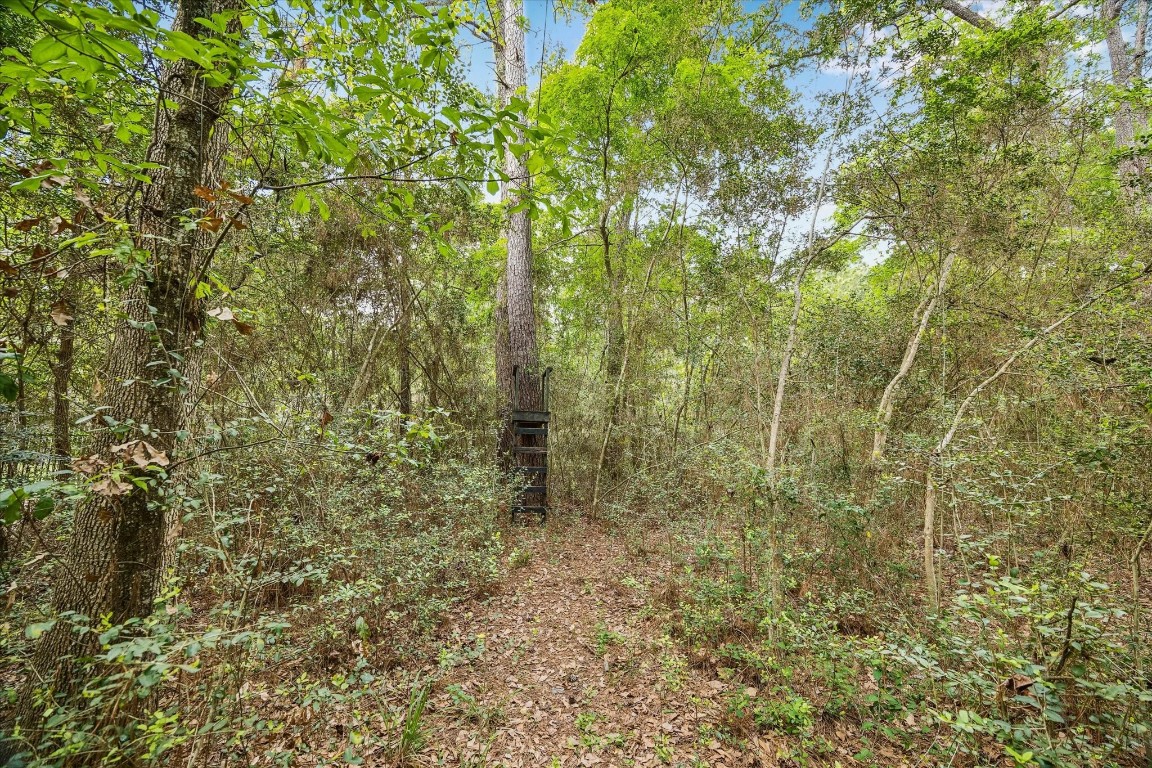 14530 Millhouse Road Pinehurst, TX 77362 - Photo 39 of 46