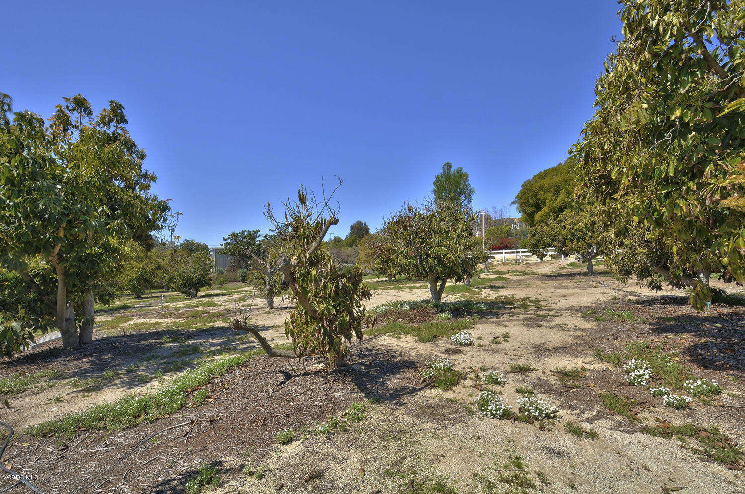 11060 East Las Posas Road Camarillo, CA 93012 - Photo 29 of 36 SKY_36