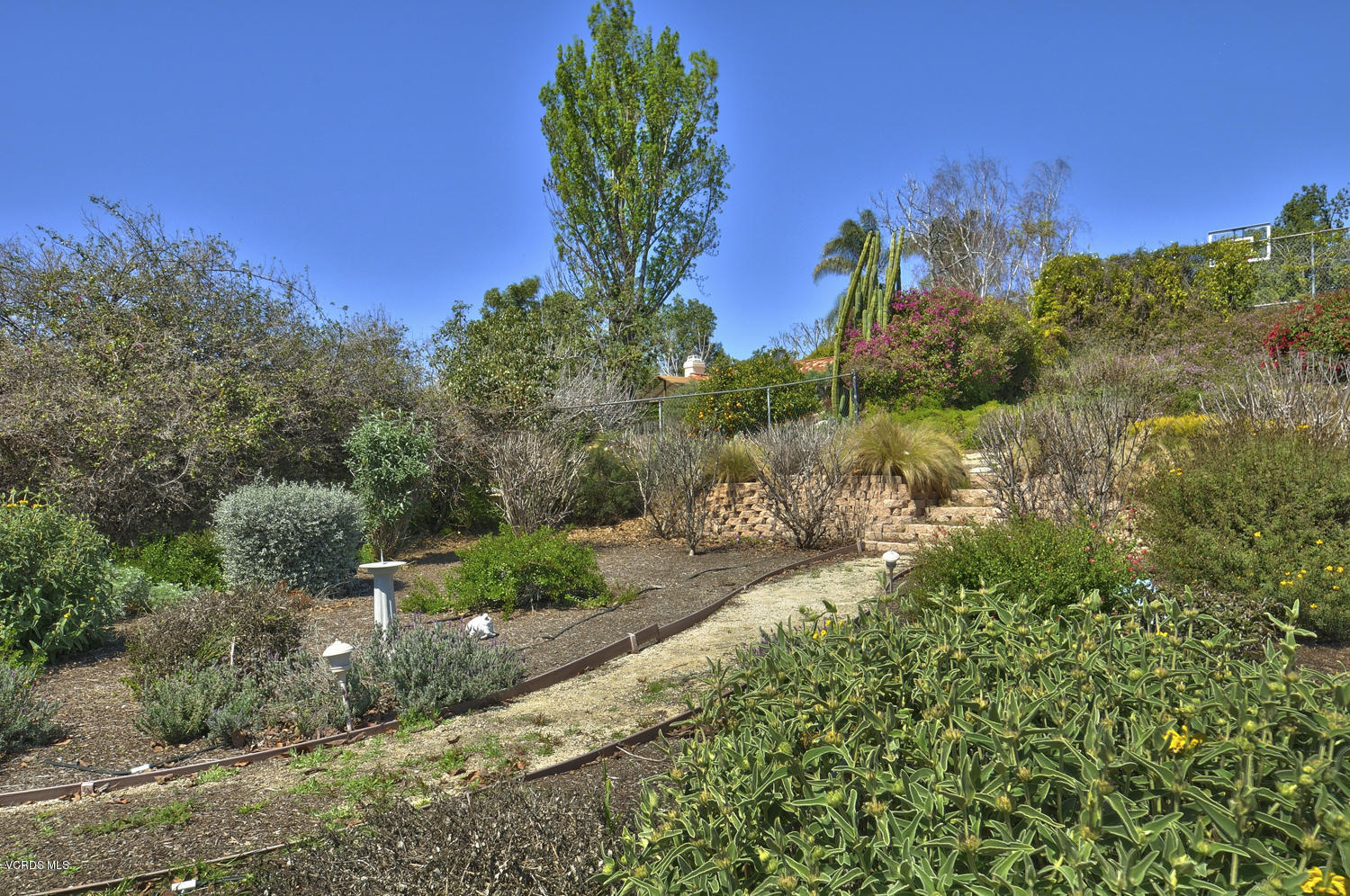 11060 East Las Posas Road Camarillo, CA 93012 - Photo 32 of 36 SKY_39