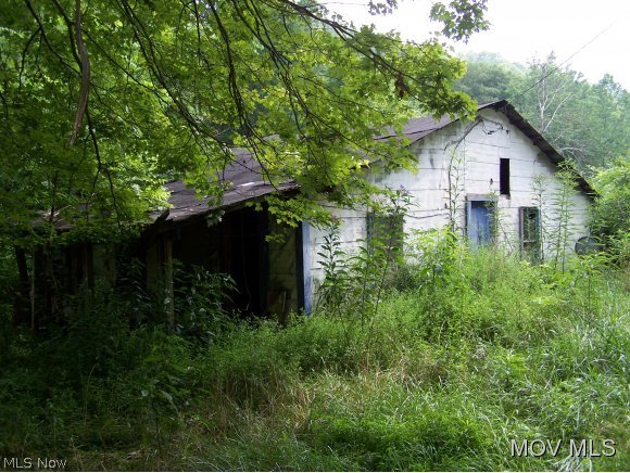 0 Linden-tariff Road Left Hand, WV 25251 - Photo 4 of 6