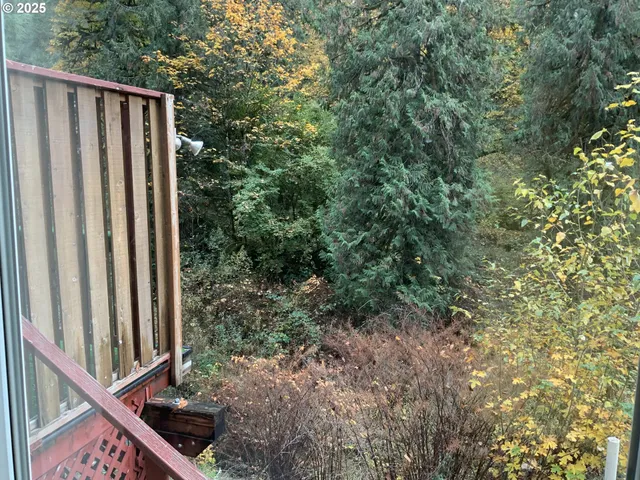 a view of outdoor space and yard