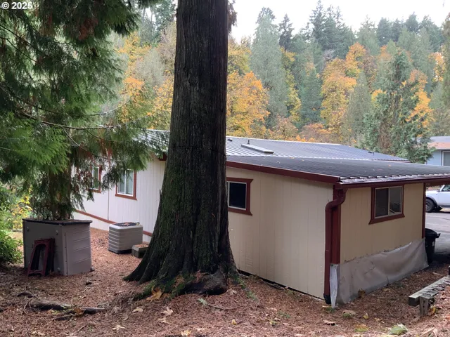 a view of a wooden fence and a tree