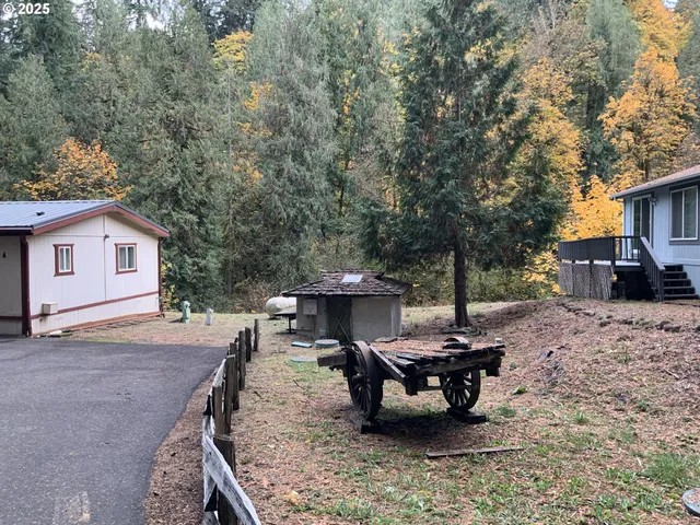 a view of a backyard with table and chairs under a large tree