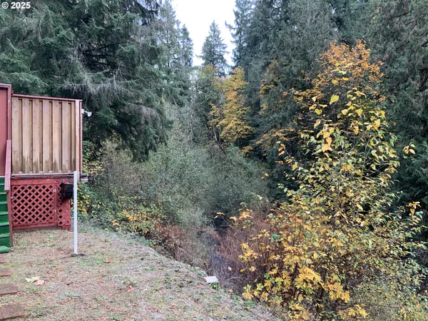 a view of a backyard