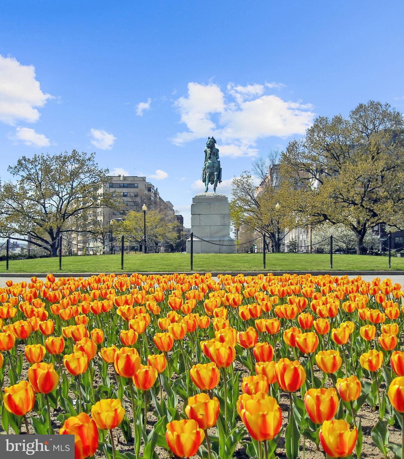 2030 F Street Northwest, Unit 910 Washington, DC 20006 - Photo 36 of 50 Welcome to DC!