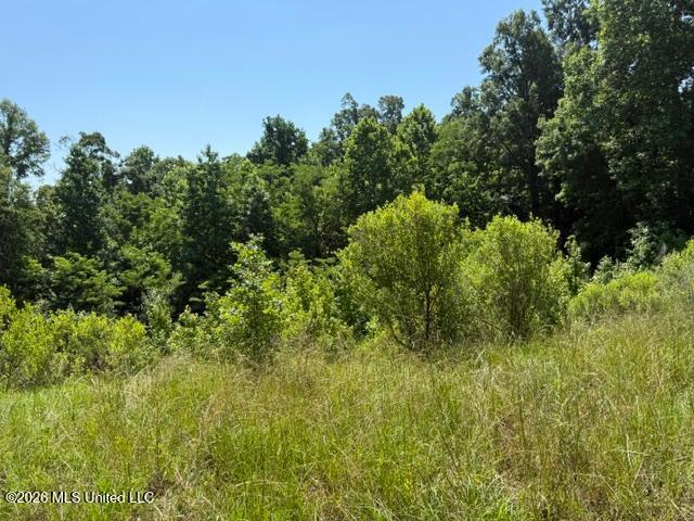 53 Cliffs Plantation Road Natchez, MS 39120 - Photo 16 of 23 53 Cliffs Plantation Pic 16