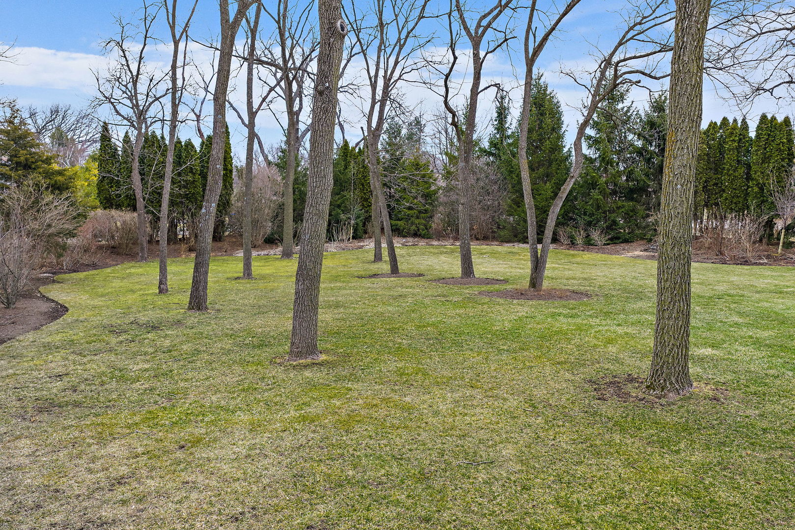 28360 Heritage Oak Road Chicago, IL 60641 - Photo 51 of 99