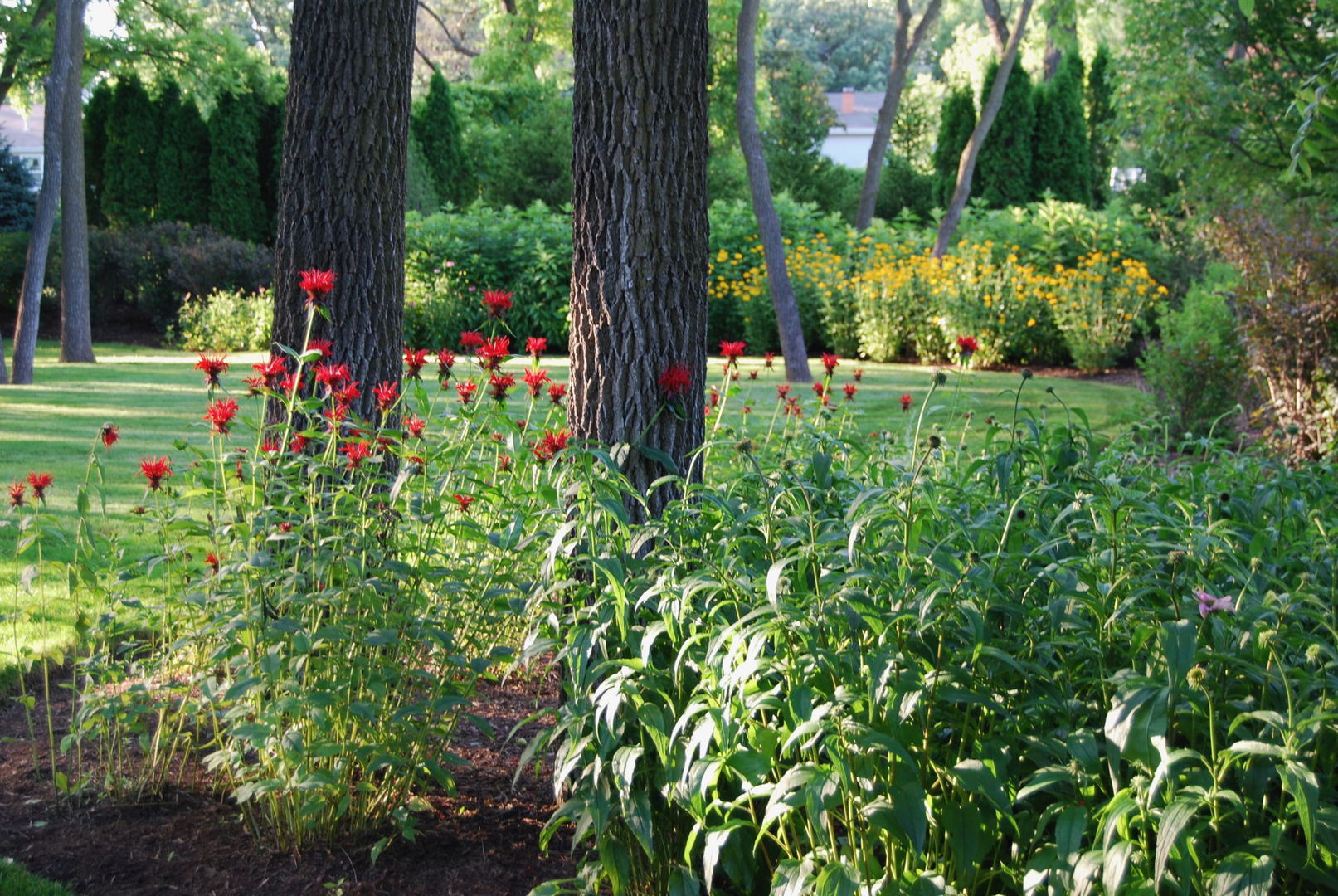 28360 Heritage Oak Road Chicago, IL 60641 - Photo 71 of 99