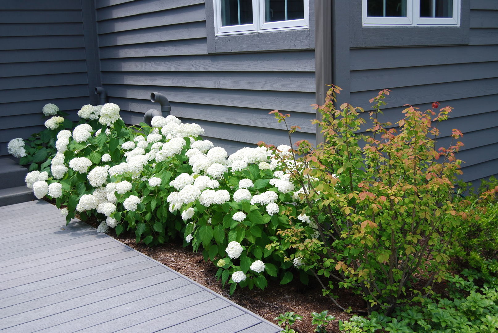 28360 Heritage Oak Road Chicago, IL 60641 - Photo 73 of 99